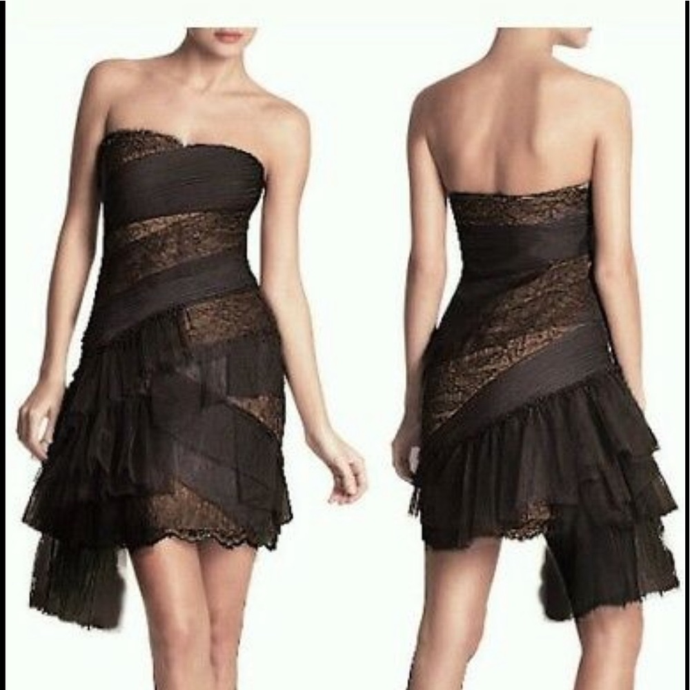 BCBGMaxazria Runaway lace and tulle dress